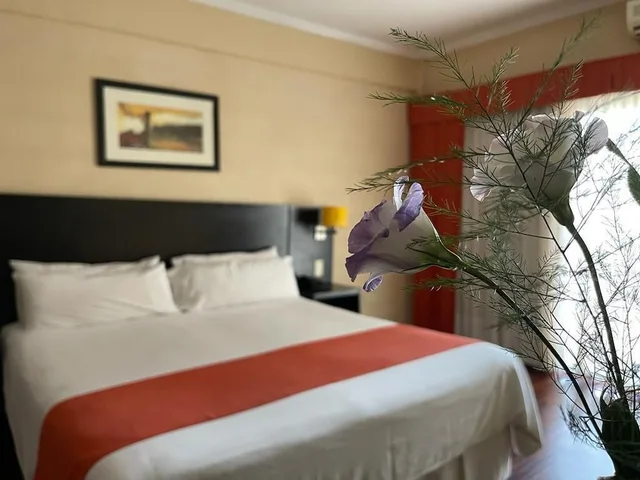 غرفة قياسية ثلاثية، Duomi Hotel Buenos Aires 1/7