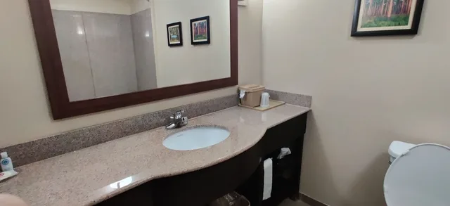 غرفة قياسية بسرير كينج، Comfort Inn & Suites Midway - Tallahassee West 8/10