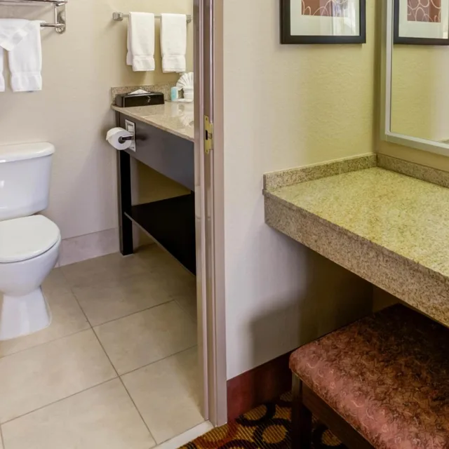 Studio, Suite, Queen Bed, Accessible, Comfort Suites Airport Charlotte, NC 3/3