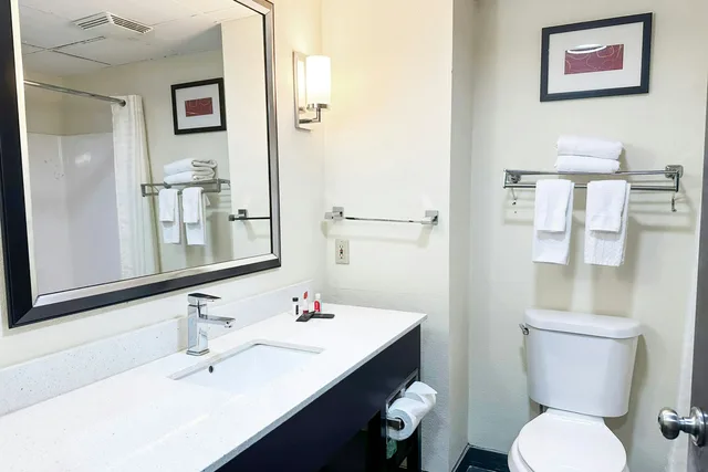 جناح بسرير كينج، OYO Hotel Rome West GA 6/7