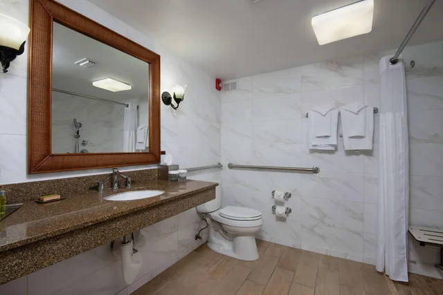 غرفة كلاسيكية بسرير كينج، DoubleTree Beach Resort by Hilton Tampa Bay - North Redington Beach 4/7