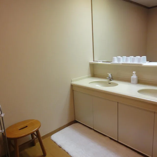 Japanese Style Lakeview Room، Ryuguden 5/5