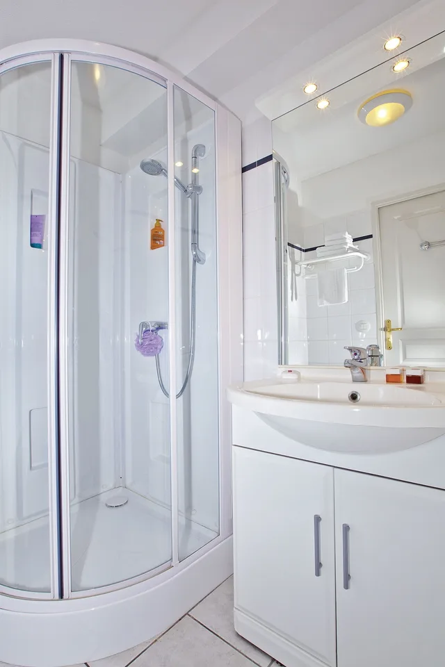 شقة بسرير مزدوج بغرفة نوم واحدة مع أريكة، Sejours & Affaires Lyon Park Lane 6/6
