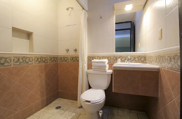 غرفة قياسية بسريرين مزدوجين، Plaza Morelia 4/5