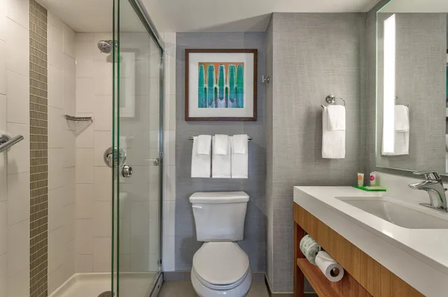 جناح بغرفتي نوم مع أريكة، Hyatt Place Minneapolis Downtown 4/6