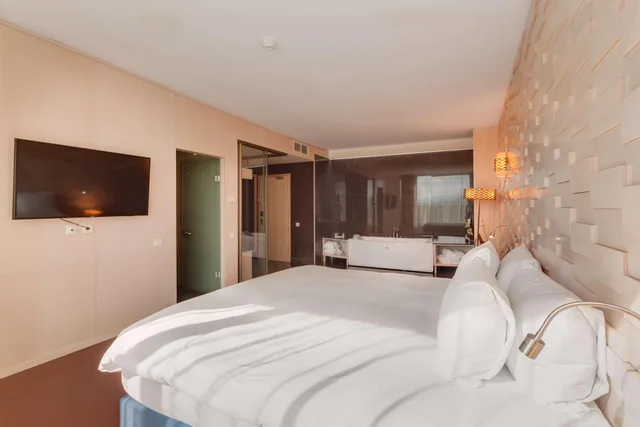 جناح، DoubleTree by Hilton Cluj City Plaza 1/2