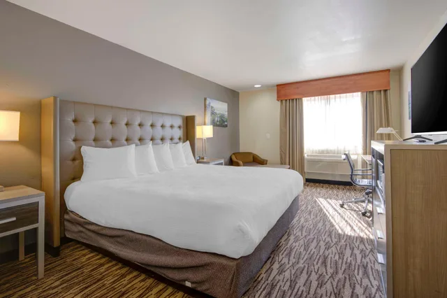 غرفة بسرير مزدوج لذوي الإعاقة، Best Western Plus Peppertree Airport Inn 1/2