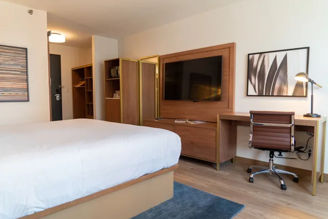 غرفة قياسية بسرير كينج لذوي الإعاقة، Hotel Indigo Detroit Downtown 5/9