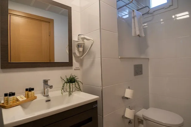 Senior, 1 Double and 1 Single Bed، Urla 1867 Hotel 5/6