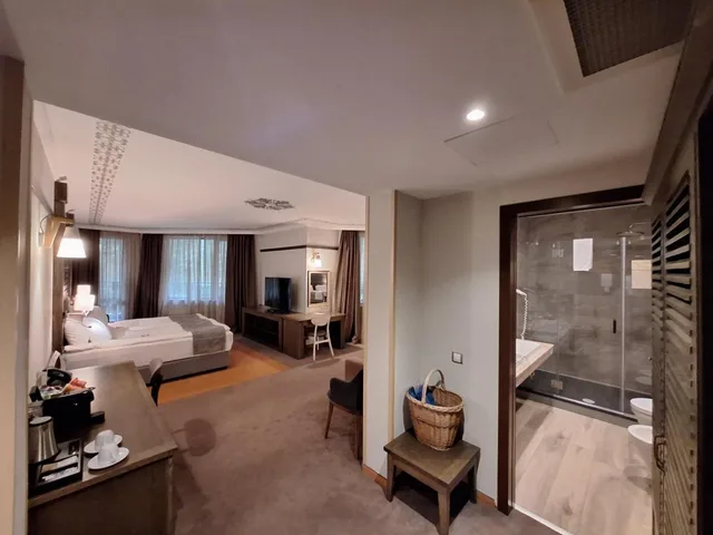 استوديو مع أريكة، Hot Springs Medical & Spa Hotel 6/6