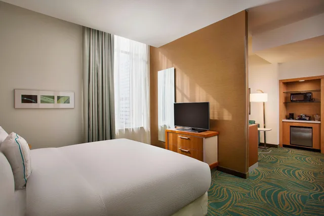 استوديو بسرير كينج مع أريكة، Springhill Suites Houston Downtown/Convention Center 2/4