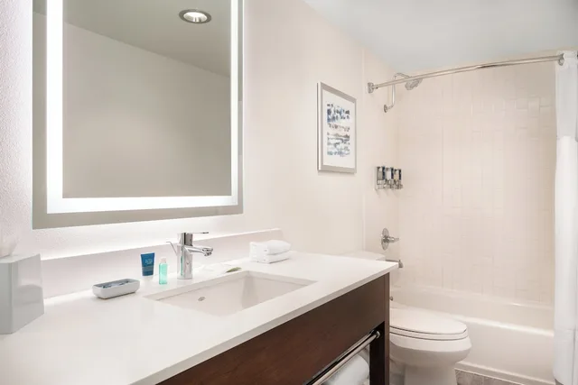 لوفت بغرفة نوم واحدة، Four Points By Sheraton Hotel Suites San Francisco Airport 3/5