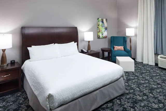 غرفة بريميوم بسرير كينج، Hilton Garden Inn Detroit Novi 2/3