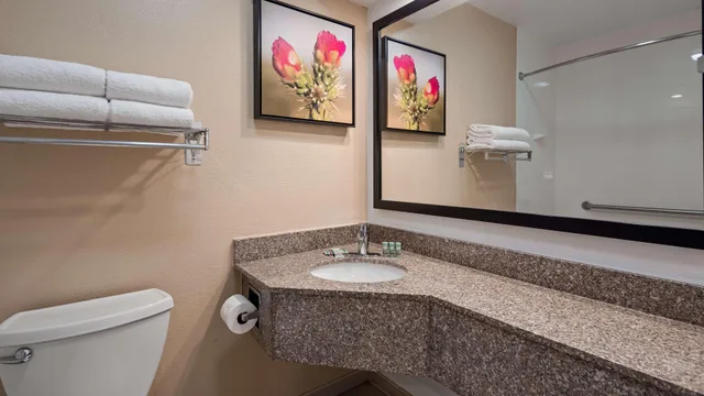 غرفة بسرير كينج، Best Western Santa Rosa Inn 9/10
