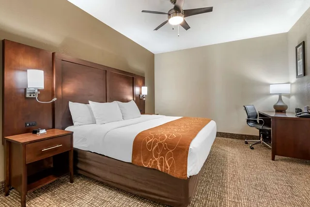 غرفة بسرير كينج وسريرين كوين، Comfort Suites Auburn Near I-69 2/3