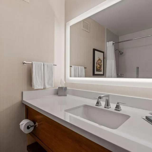 غرفة بسرير كينج وسرير كوين لذوي الإعاقة، DoubleTree by Hilton Hotel Spokane City Center 4/5