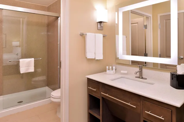 Studio, King Bed, Homewood Suites by Hilton Houma LA 4/8