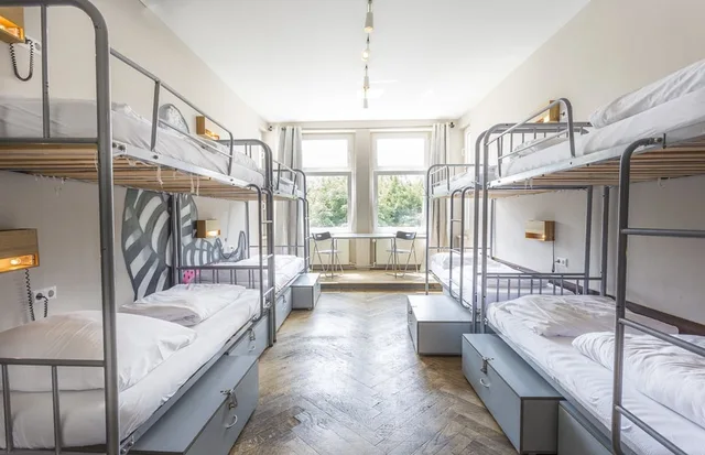Mixed Dorm, 8 Beds, Sunflower Hostel 2/6