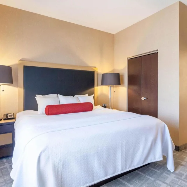غرفة قياسية بسرير كينج، Cambria Hotel Pittsburgh - Downtown 3/5