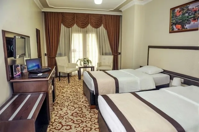 غرفة قياسية مفردة بسرير مزدوج، Teona Otel 1/9