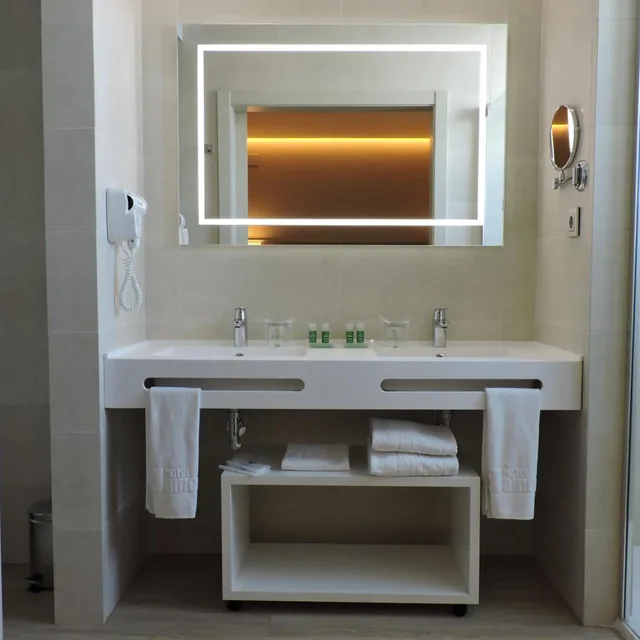 Deluxe, Double or Twin Bed, Terrace, America Sevilla 6/9