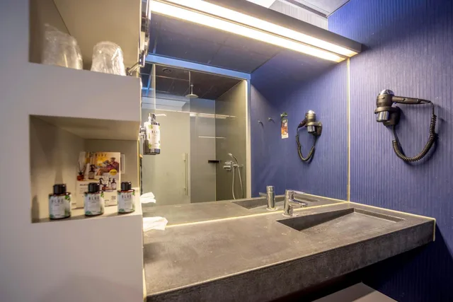 غرفة ديلوكس بسرير مزدوج، Fletcher Wellness Hotel Sittard 8/9