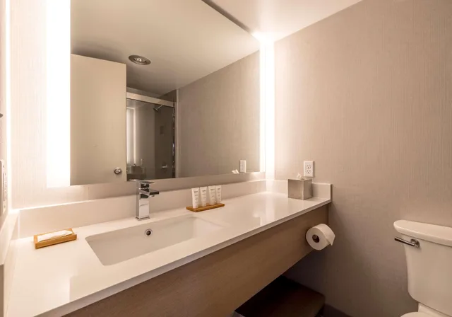 جناح بإطلالة، DoubleTree by Hilton Davenport 5/5