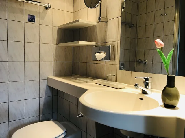Business, Plus, Queen Bed، An Der Gruga 2/2