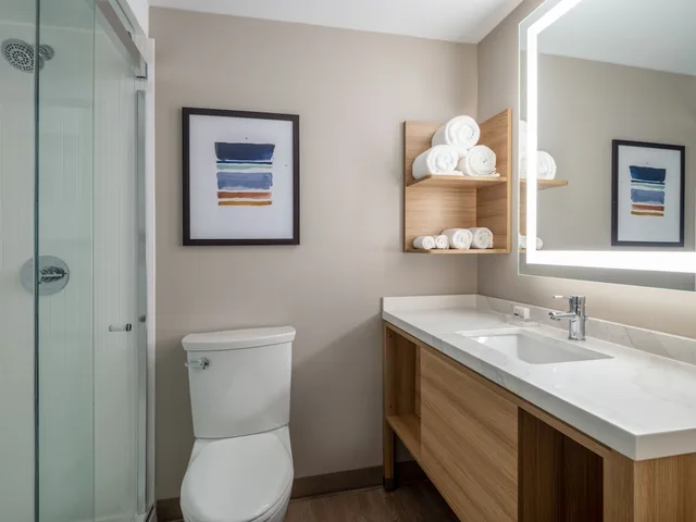 Studio, Suite, King Bed, Airport View, Kitchen، Staybridge Suites Chicago O Hare Airport, an IHG Hotel 2/2