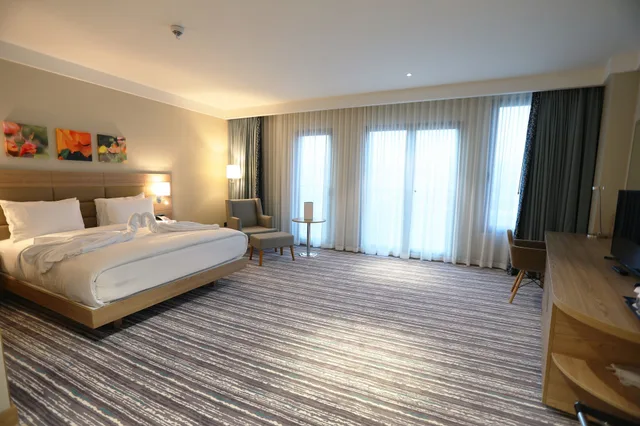 جناح بسرير كينج، Park Dedeman Adiyaman 3/4