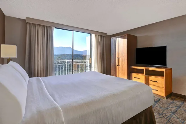 جناح بسرير كينج بإطلالة على الجبل، Embassy Suite Hotel Colorado Springs 2/2