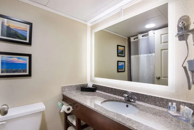 غرفة بسريرين مزدوجين، Comfort Inn Kings Mountain 3/3