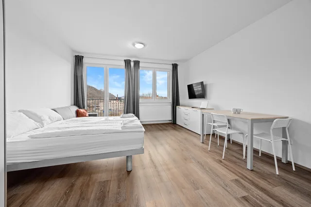 Studio apartment for 2 persons with balcony، Prague City Residence 3/8