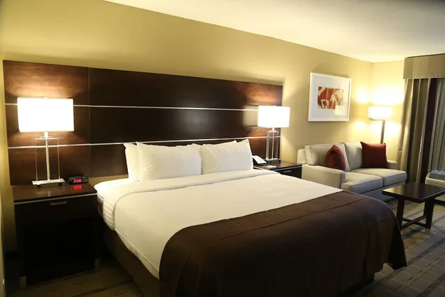 Standard, King Bed, Accessible, Holiday Inn Charlotte Airport Conf Ctr 1/2