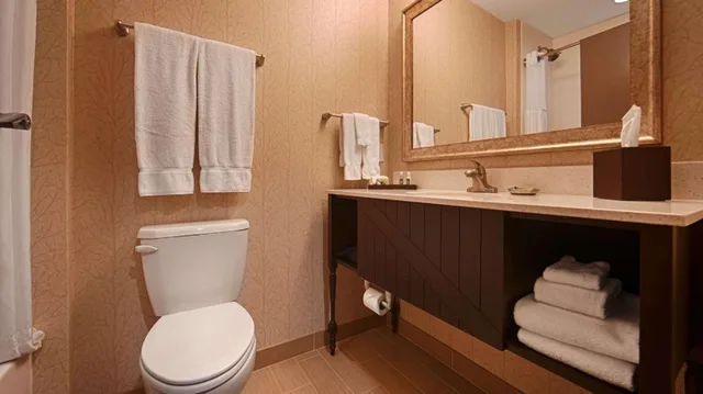 Room, King Bed, Bathtub, Accessible, Best Western Plus Dayton Hotel & Suites 6/9