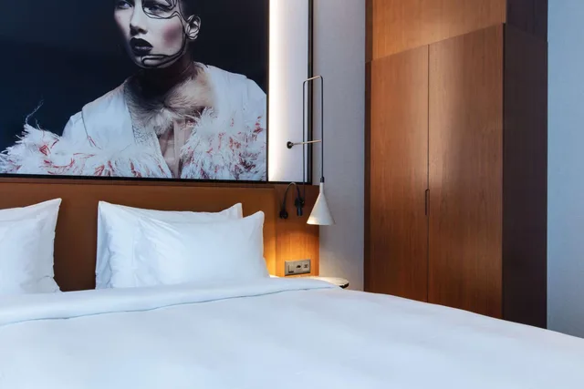 غرفة قياسية مفردة، RADISSON BLU HOTEL BASEL 9/10