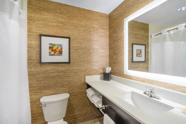 غرفة قياسية بسرير كينج، Holiday Inn Terre Haute 6/6