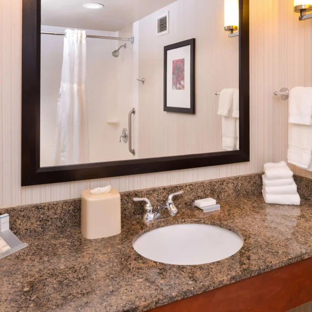 غرفة بسرير كينج بحوض استحمام لذوي الإعاقة، Hilton Garden Inn Baltimore/White Marsh 2/4