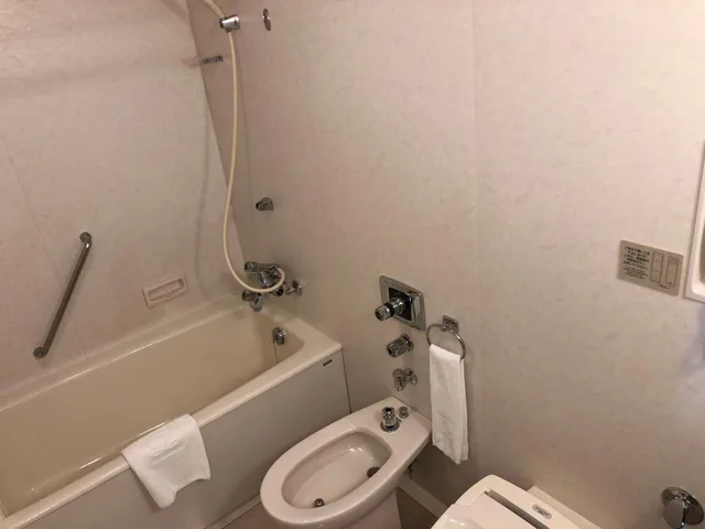 Suite, KUSHIRO PRINCE HOTEL 6/10