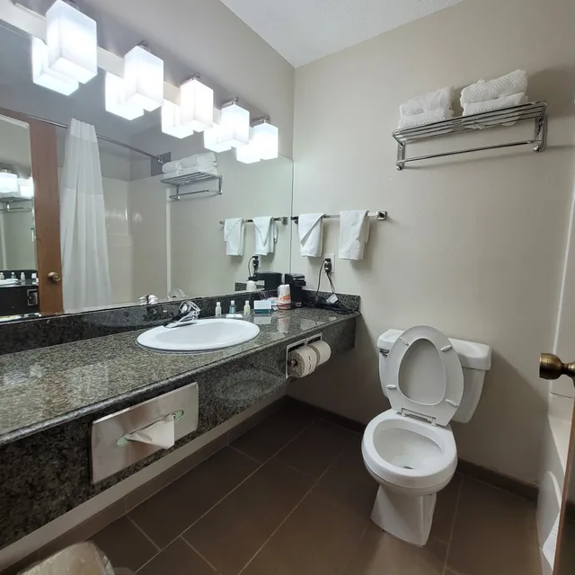 غرفة قياسية بسرير كينج، Quality Inn Suites Marion 9/9