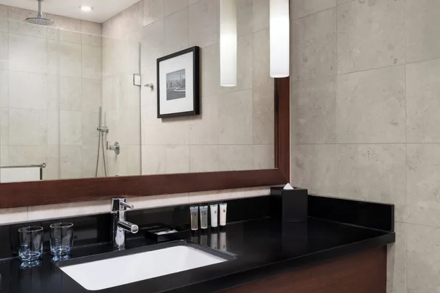 غرفة قياسية بسرير كينج بحوض استحمام لذوي الإعاقة، Millennium Hotel Knickerbocker Chicago 5/8