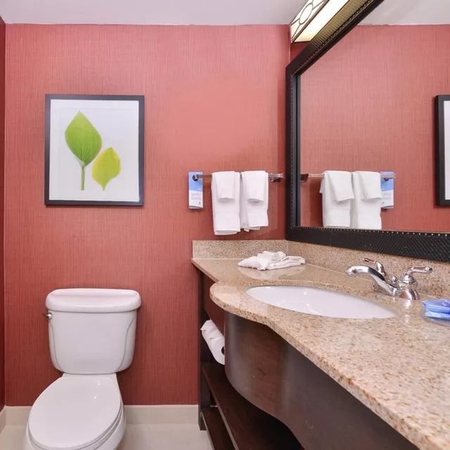 Room, King Bed, Bathtub, Accessible, Fairfield Inn Suites Denver Aurora Parker 6/6