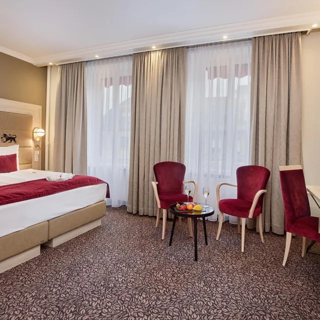 Top, Deluxe, Single Bed, with View، HOTEL ST GOTTHARD 6/10