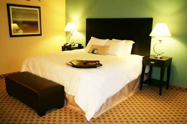 غرفة بسرير كينج، Hampton Inn Orange 1/1