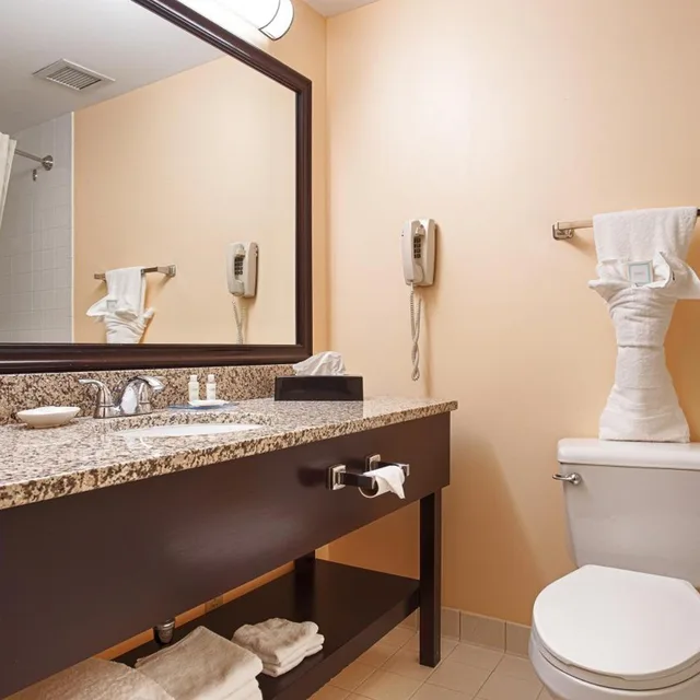 جناح بسرير كوين لذوي الإعاقة، Best Western Plus Brunswick Bath 5/8