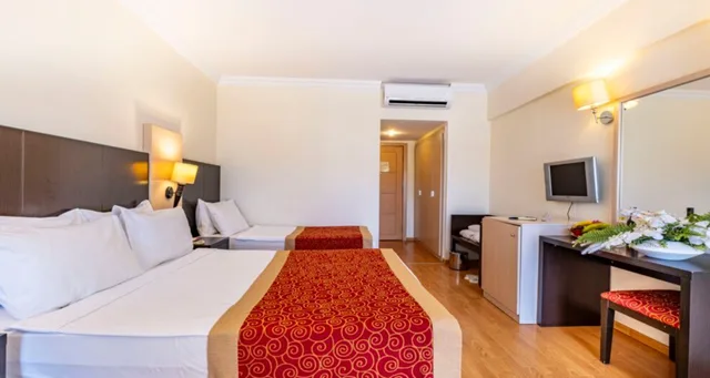 غرفة قياسية مفردة، Viking Garden Hotel and Spa 1/4