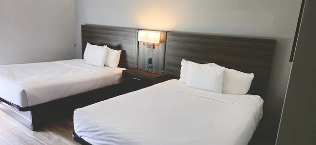 غرفة بسريرين كوين لذوي الإعاقة، La Quinta Inn & Suites by Wyndham Gonzales LA 6/10