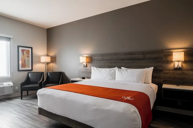 Standard, King Bed, Pet Friendly, Amsterdam Inn & Suites Florenceville-Bristol, an Ascend Collection Hotel 1/5