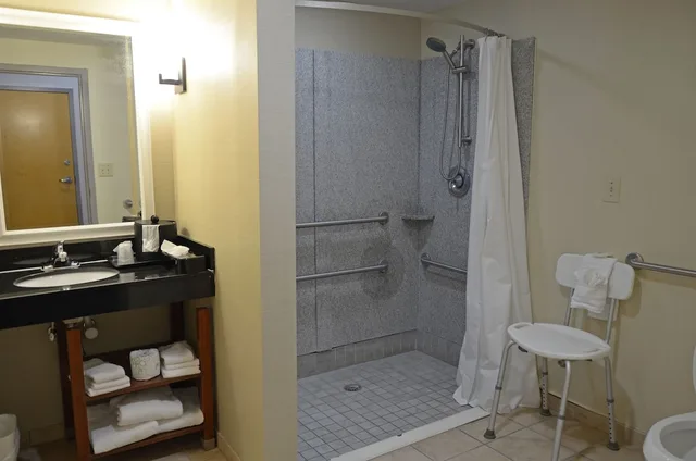 جناح بسرير كينج لذوي الإعاقة، Comfort Suites Salem Roanoke I 81 5/6