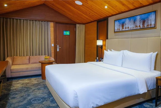 Standard, King Bed, Valley View، Radisson Blu Resort Dharamshala 1/10